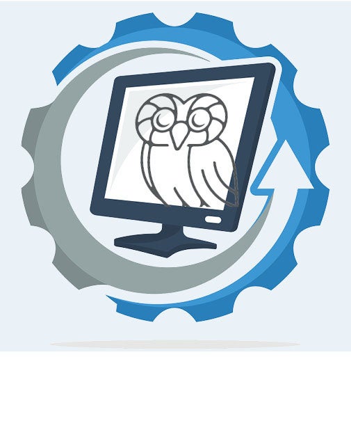 Rice owl on computer screen