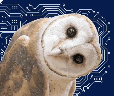 Owl sticker